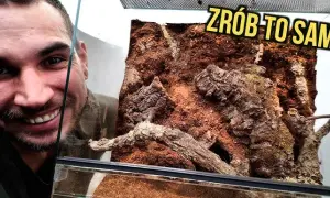 Jak zrobić tło do terrarium: proste metody i materiały, które zaskoczą