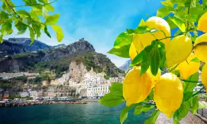 Un **capriccio mattutino** con limoni gialli brillanti in primo piano, sullo sfondo di un borgo costiero italiano e montagne verdi.