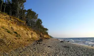 Dębina plaża z klifem porośniętym drzewami. Piasek i kamienie na brzegu, fale rozbijają się o brzeg.