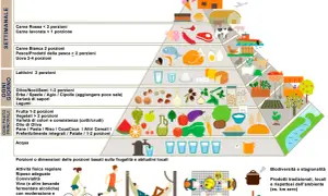 Piramide alimentare per una dieta mediterranea settimanale: frutta, verdura, cereali integrali, legumi, pesce, latticini, carne bianca, con moderazione carne rossa e dolci.