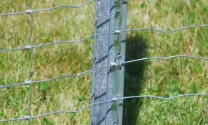 Solidny montaż siatki leśnej na metalowym słupku, zabezpieczający teren przed zwierzętami.