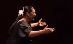 Una mujer flamenca, con un clavel en el pelo, baila con pasión, sus manos abiertas expresan el alma del flamenco.