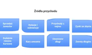 Różne źródła przychodu: sprzedaż towarów, dotacje, najem, zyski ze zbycia, różnice kursowe, kary umowne, umorzone długi, zwroty długów.