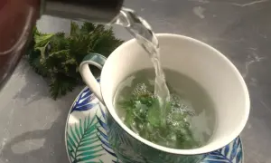 Gorąca woda zalewa świeżą pokrzywę w kubku, tworząc aromatyczną herbatę.