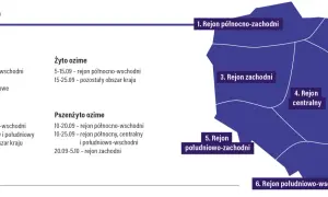 Mapa Polski podzielona na regiony z terminami siewu zbóż ozimych.
