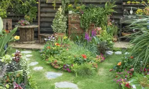 Un jardín exuberante y colorido, con flores vibrantes, follaje verde y un camino de piedras. El mantenimiento de jardinería es clave para esta belleza.