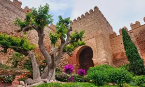 Ein alter Baum vor einer Festungsmauer mit einem Torbogen. Ein versteckter Ort in Andalusien, der zum Entdecken einlädt.