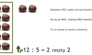 Ilustracja przedstawia kasztany ułożone w rzędy i działanie matematyczne 12:5=2 reszty 2.