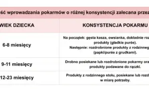 Kiedy wprowadzać inne pokarmy przy karmieniu piersią? Sprawdź optymalny wiek i oznaki gotowości dziecka