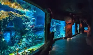 Oceanarium Świnoujście - co warto wiedzieć przed wizytą?