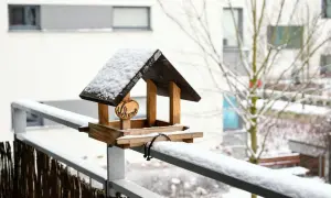 Drewniany karmnik dla ptaków pokryty śniegiem, zamontowany na balkonie.