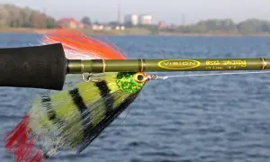 Fliegenfischen auf Hecht mit einer "Big Daddy" Rute. Die bunte Fliege ist bereit für den Biss.