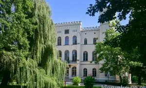 Zamek w Rokosowie, otoczony zielenią, prezentuje się okazale. Wierzba płacząca zasłania część fasady.