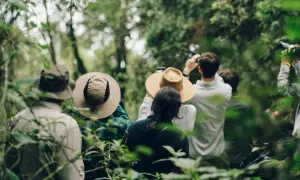 Följ med på en djungelvandring i Uganda! Här får du spännande fakta om landets rika natur och djurliv.
