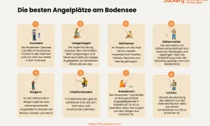 Angeln am Bodensee: Hecht-Paradies bei Bregenz. Auch in Reichenau und Konstanz locken gute Fanggründe.