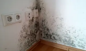 Stockflecken an der Wand, hier in einer Ecke nahe Steckdosen, deuten auf Feuchtigkeitsprobleme hin. Ursache für Schimmelbildung.