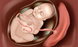 Dziecko w łonie matki, otoczone płynem owodniowym, z pępowiną połączoną z łożyskiem.