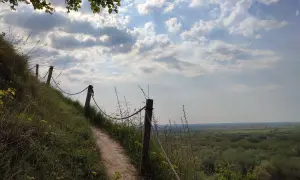 Ścieżka na zboczu, część trasy Góry Pieprzowe. Widok na dolinę i las.