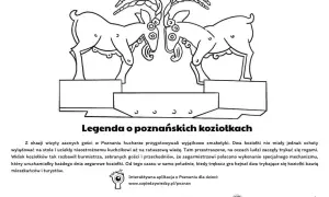 Legenda o poznańskich koziołkach: historia, ciekawostki i gdzie je zobaczyć