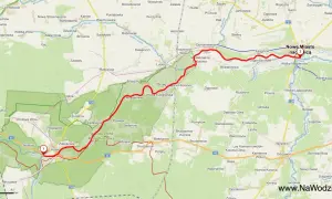 Spływ kajakowy Pilicą (Tomaszów Maz.): Trasy, ceny, planowanie
