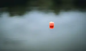 Pomarańczowy pellet z konopi unosi się na spokojnej wodzie, tworząc odbicie.