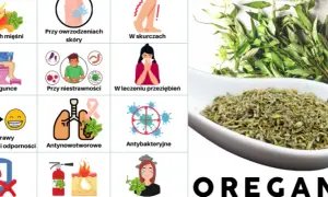 Czym zastąpić suszone oregano? Sprawdzone zamienniki, które zaskoczą