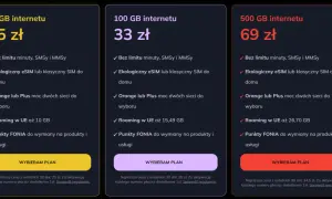Porównanie ofert Orange: 50 GB za 25 zł, 100 GB za 33 zł, 500 GB za 69 zł. Czy 10 GB internetu to dużo? Zobacz, ile GB dostajesz w roamingu.