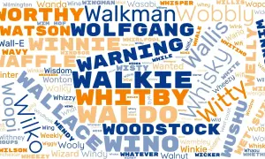 Un nuage de mots avec des prénoms en W comme Wanda, Wolfgang, Wendy, et des mots comme "Walkie", "Whisky", "Witty".