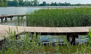Spokojny wędkarz na drewnianej kładce nad jeziorem słupeckim, otoczony szuwarami.