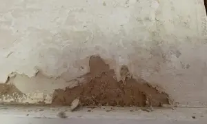 Skadad vägg med flagnande färg och synliga fibrer, misstänkt tretex asbest.