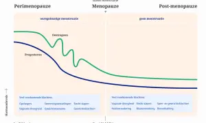 Grafiek toont hormoonniveaus tijdens de overgang. Progesteron daalt, wat kan leiden tot teveel progesteron overgang symptomen.
