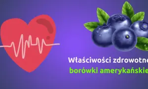 Serce z EKG i borówki amerykańskie. Dowiedz się, jakie witaminy mają borówki i jak wpływają na zdrowie.