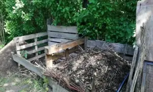 Drewniany kompostownik z pryzmą materiału organicznego w ogrodzie.