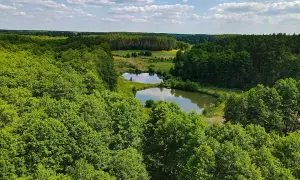Gdzie na kajaki Zachodniopomorskie? Odkryj idealny szlak!