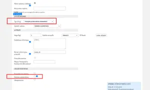 Formularz nadania przesyłki InPost ShipX. Wybrano "Dostawa weekendowa" jako usługę dodatkową.