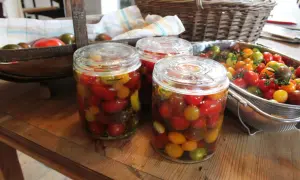Burkar med inlagda tomater i olika färger. En korg med färska tomater syns i bakgrunden.
