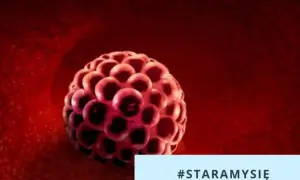Zarodkowy blastocyst w drodze do macicy. Wczesne objawy implantacji zarodka mogą być subtelne. #STARAMYSIĘ