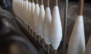 Fusi di lana bianca pronti per essere lavorati da un lavoratore di tessuti nella Firenze medievale.