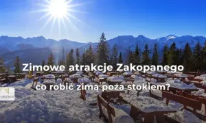 Słoneczny dzień w górach. Alpy zimą, pokryte śniegiem, z lasem i pustymi stolikami na pierwszym planie.