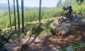 Mountainbiker meistert felsige, schnelle Trails in einem sonnigen Wald.