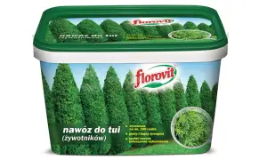 Nawóz do tui (żywotników) Florovit zapewnia szybki wzrost i intensywne wybarwienie, tworząc gęsty żywopłot.