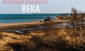 Reda ile do morza - najkrótsza trasa do Zatoki Puckiej i atrakcje