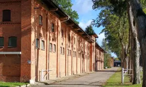 Długa, ceglana stajnia w Starogardzie Gdańskim, gdzie kiedyś stacjonował stado ogierów. Aleja drzew prowadzi do budynków.