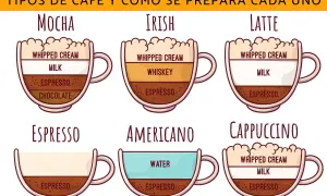 Ilustración de diferentes clases de café: mocha, irish, latte, espresso, americano y cappuccino, mostrando sus ingredientes.