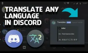 Discord po polsku? Tłumaczenie wiadomości: boty, apki, triki