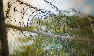 Drut kolczasty oplata ogrodzenie, tworząc barierę. Zielone pnącza próbują się przez niego przebić.