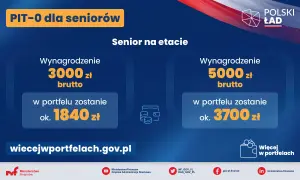 PIT-0 dla seniorów: zarabiaj i oszczędzaj! Przy 3000 zł brutto zostaje 1840 zł, przy 5000 zł brutto – 3700 zł. Emerytura i praca jednocześnie to realna korzyść.