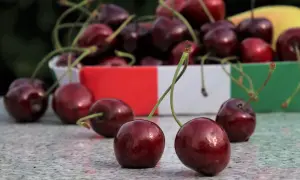Pyszne wiśnie na stole. Zastanawiasz się, co zrobic z czeresni? Idealne na deser, ciasto lub dżem.