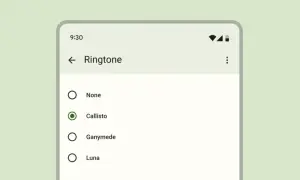 Ekran telefonu z listą dzwonków. Zaznaczony radio button przy "Callisto".