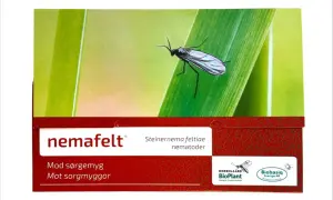 NemaFelt-förpackning med en sorgmygga på ett blad. Produkten innehåller nematoder som bekämpar sorgmyggor.